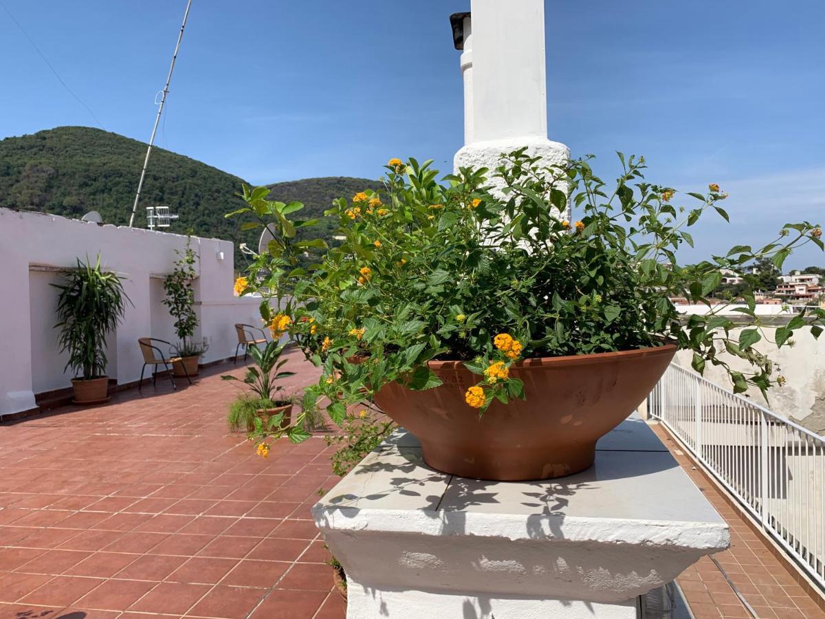 Molo35 * Ischia